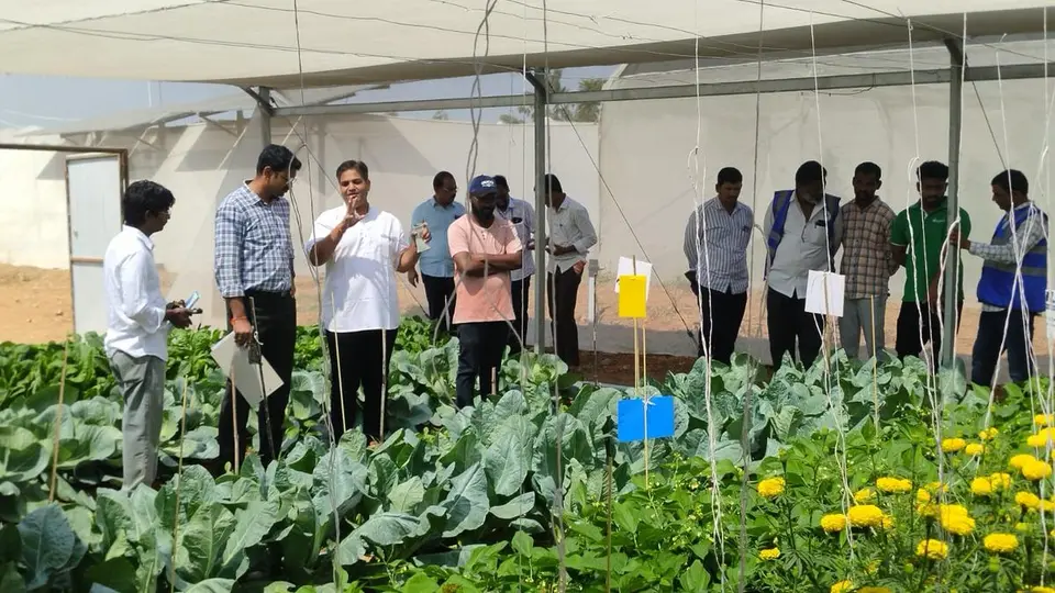 Farmers should explore crops that need less water: SPDCL CMD