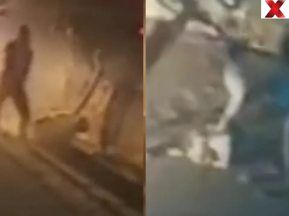 Caught On Cam : BBA Student Hit By Car , Beaten With Sticks And Iron Rod In Haryana ; Crowd Watches As Men Flee