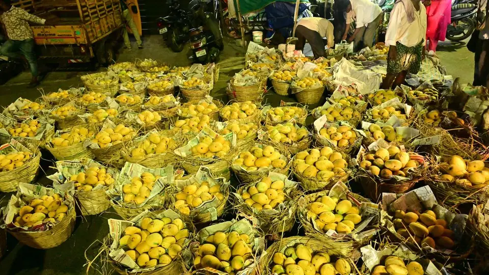 APEDB highlights Andhra Pradesh’s rich mango legacy to attract investors