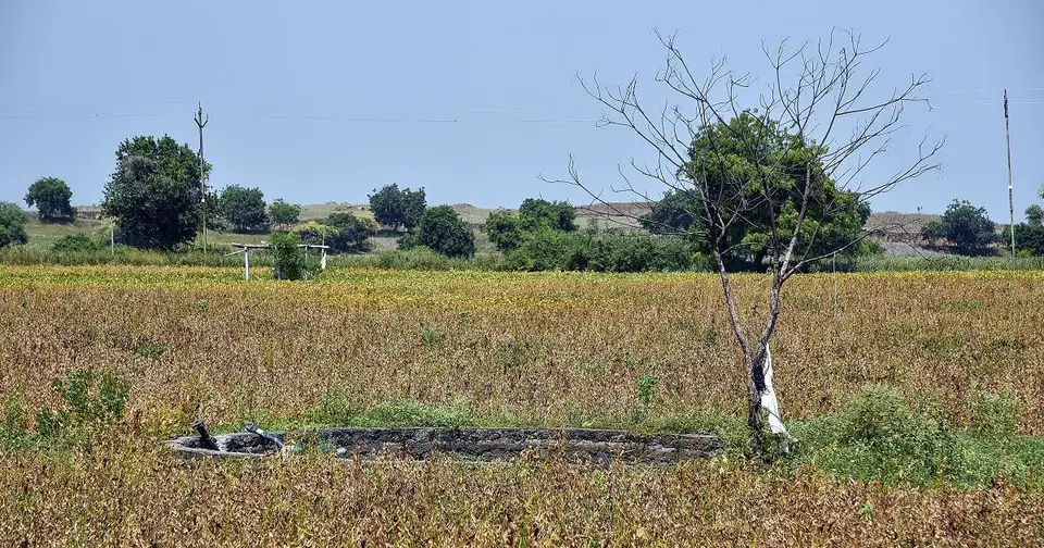Maharashtra Drought : Why A Crisis Suits Everyone