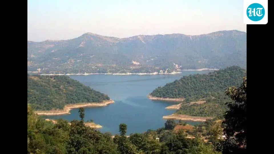 Over 3 lakh silver carp fish seeds stocked in Gobind Sagar Reservoir