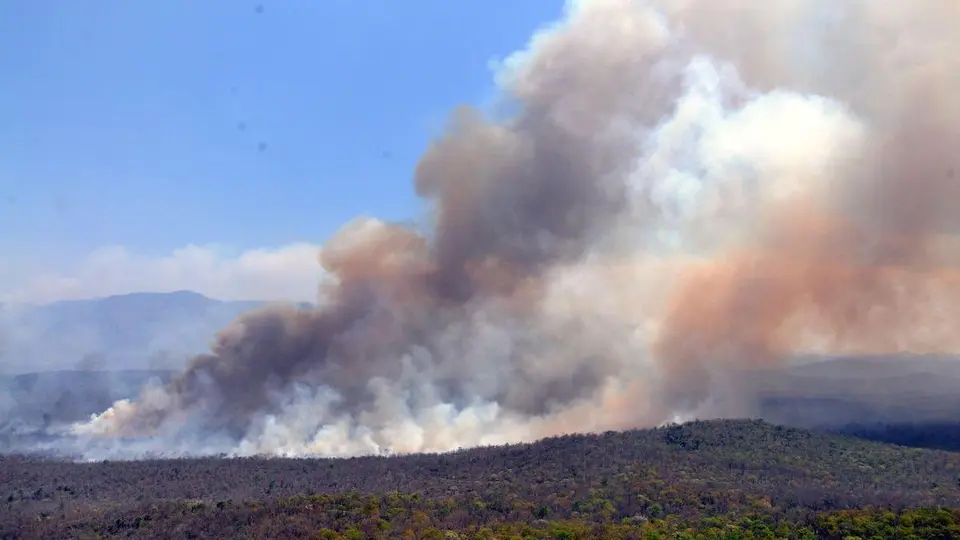 Centre for Wildlife Studies research reveals fire activity increased in Eastern Ghats and Central India, but decreased in Western Ghats.