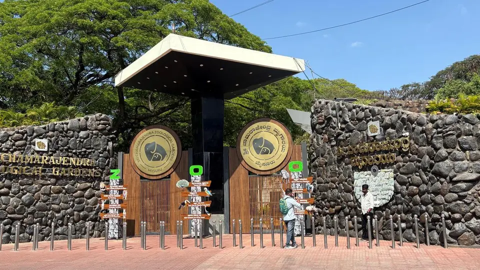 Mysuru zoo attracts 1.57 lakh visitors during Dasara, earns record ₹1.93 crore