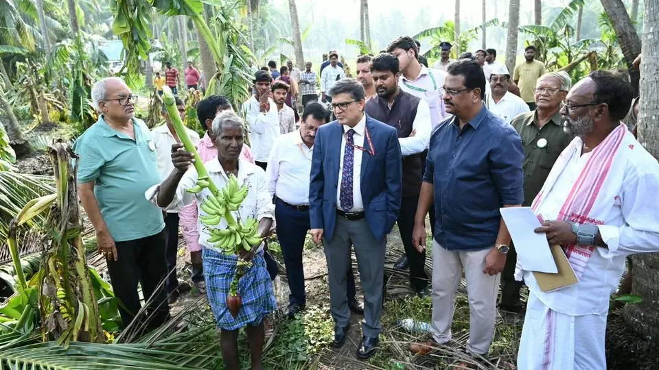 Central teams assess cyclone Arnab damage in East Godavari, Konaseema as Naidu seeks ₹4,600 crore in relief