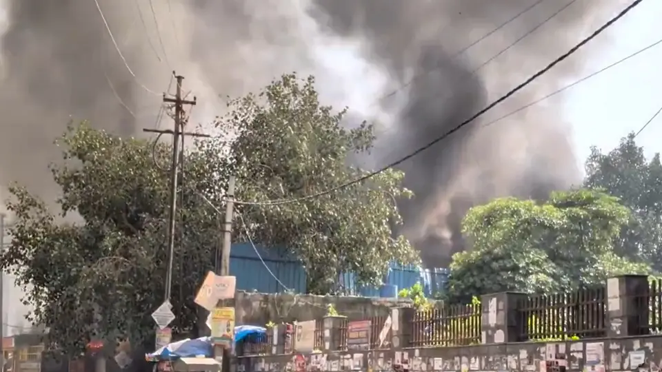 Noida Fire : नोएडा सेक्टर - 126 में लगी भीषण आग , 5 दुकानों तक पहुंचीं लपटें , 2 सिलेंडर ब्लास्ट होने की सूचना